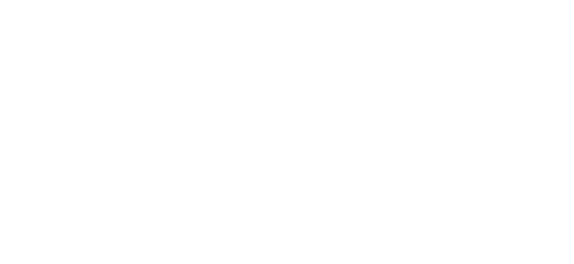 transavialogo