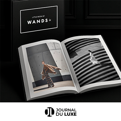 VIGNETTES-SITE-PRESSE Livre